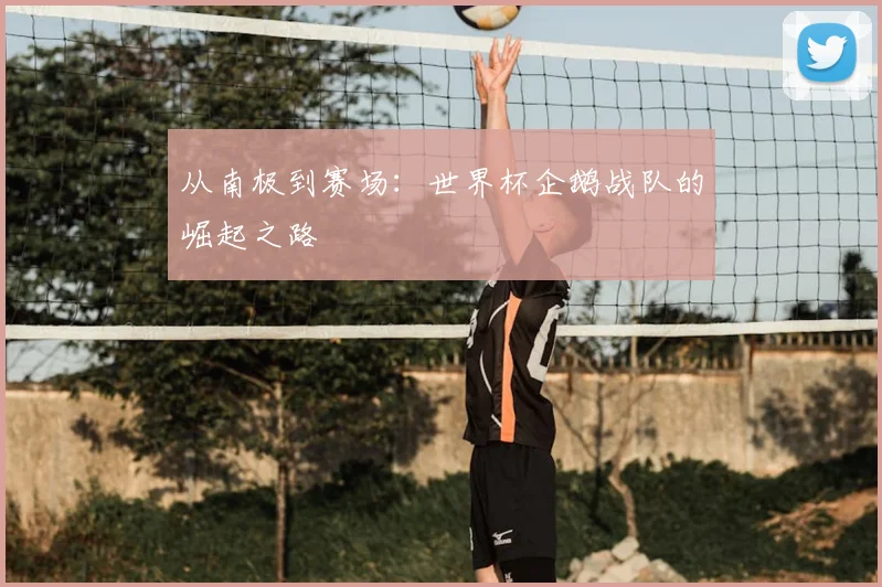 从南极到赛场:世界杯企鹅战队的崛起之路