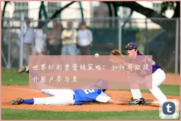 世界杯彩票营销策略:如何有效提升用户参与度