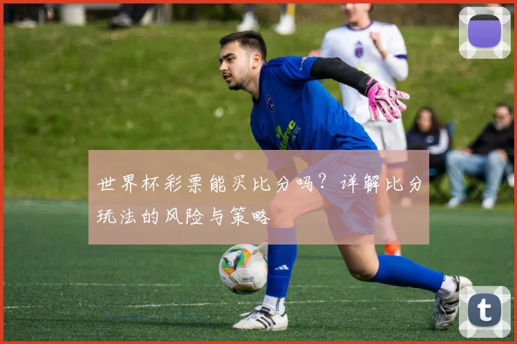 世界杯彩票能买比分吗?详解比分玩法的风险与策略