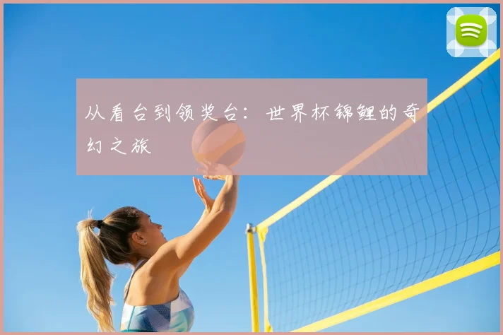 从看台到领奖台:世界杯锦鲤的奇幻之旅