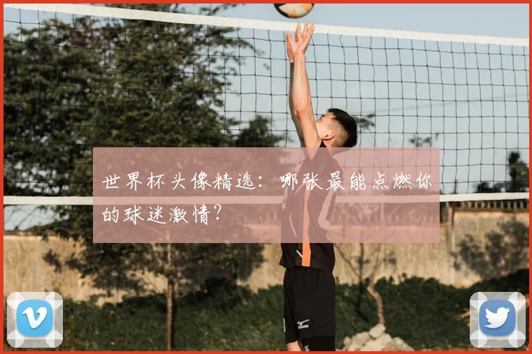 世界杯头像精选:哪张最能点燃你的球迷激情?