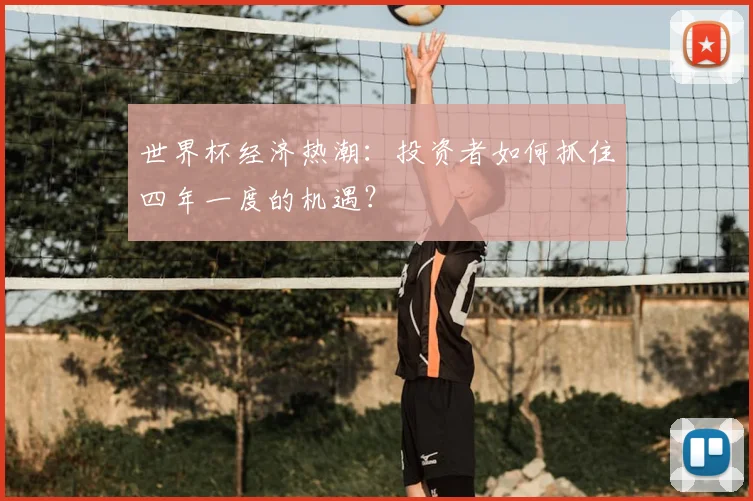 世界杯经济热潮：投资者如何抓住四年一度的机遇？