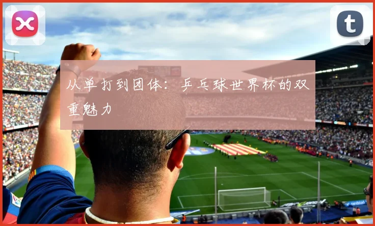 从单打到团体:乒乓球世界杯的双重魅力