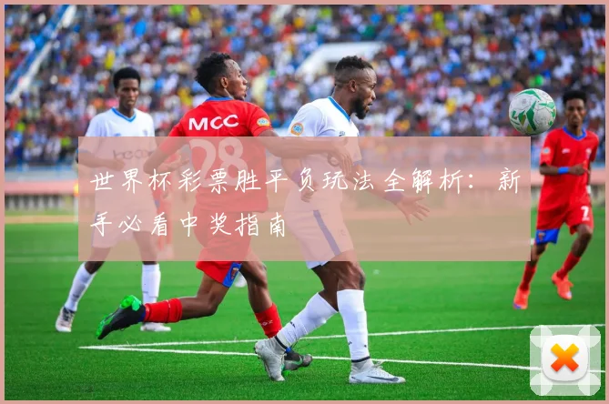 世界杯彩票胜平负玩法全解析:新手必看中奖指南