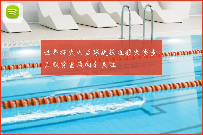 世界杯失利后球迷投注损失惨重,巨额资金流向引关注