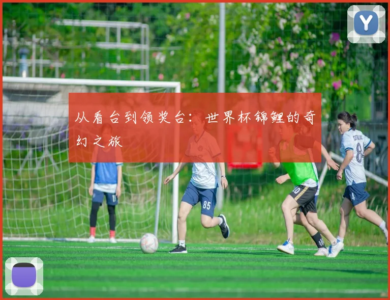 从看台到领奖台:世界杯锦鲤的奇幻之旅