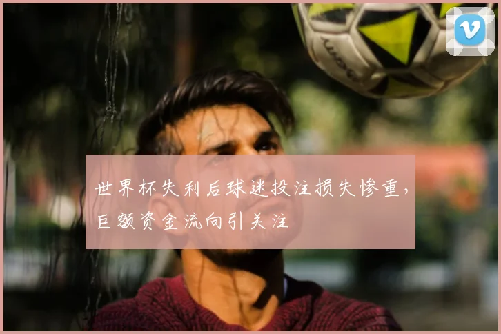 世界杯失利后球迷投注损失惨重，巨额资金流向引关注