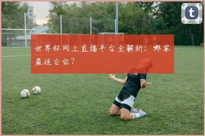 世界杯网上直播平台全解析:哪家最适合你?
